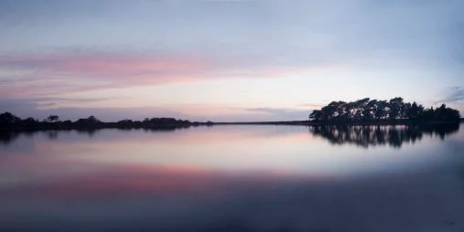 Henry Szwinto Photography New Forest Hampshire