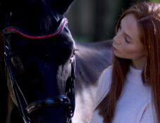 equine equestrian horse portrait photoshoot hampshire london